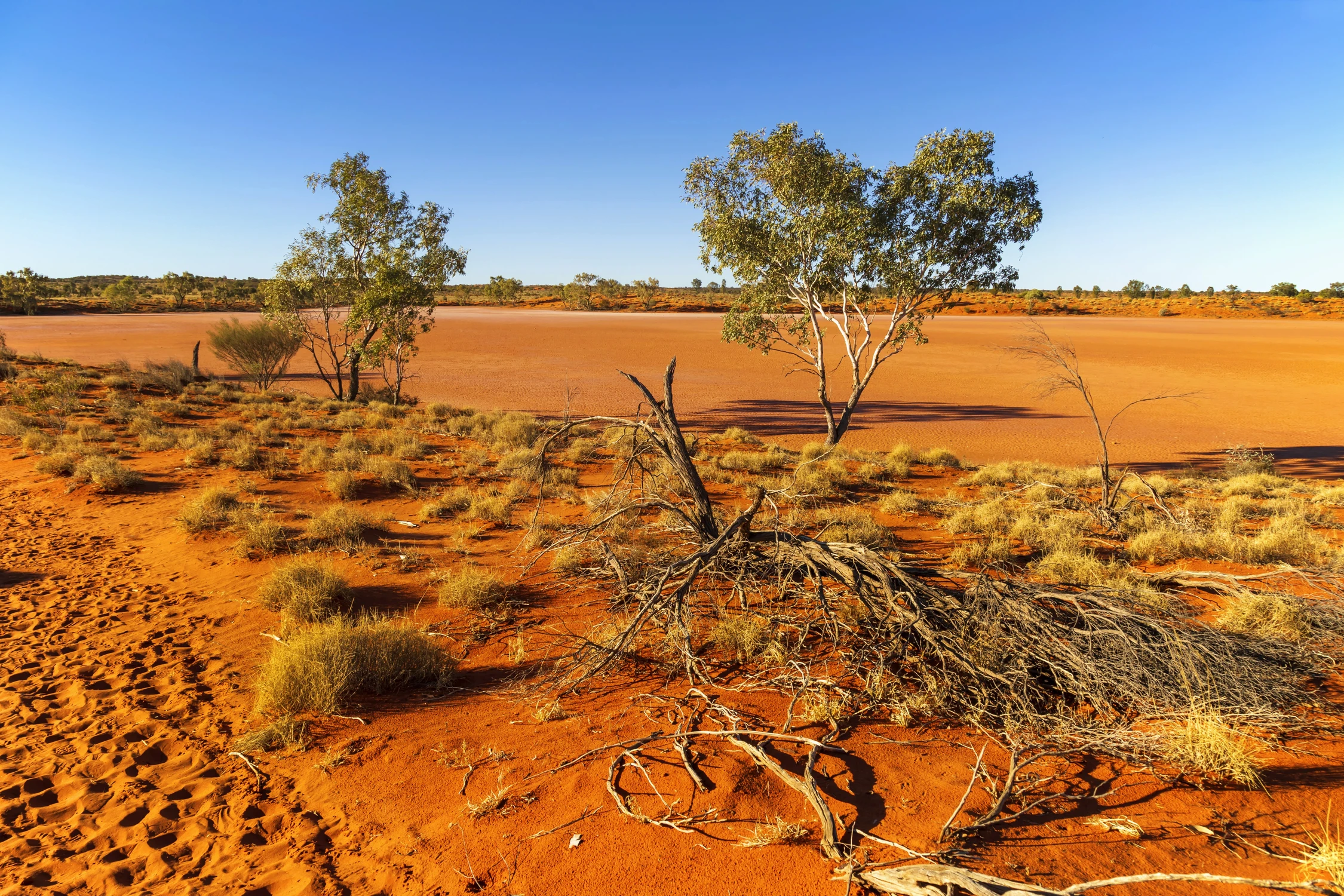 Czerwone piaski Australii
