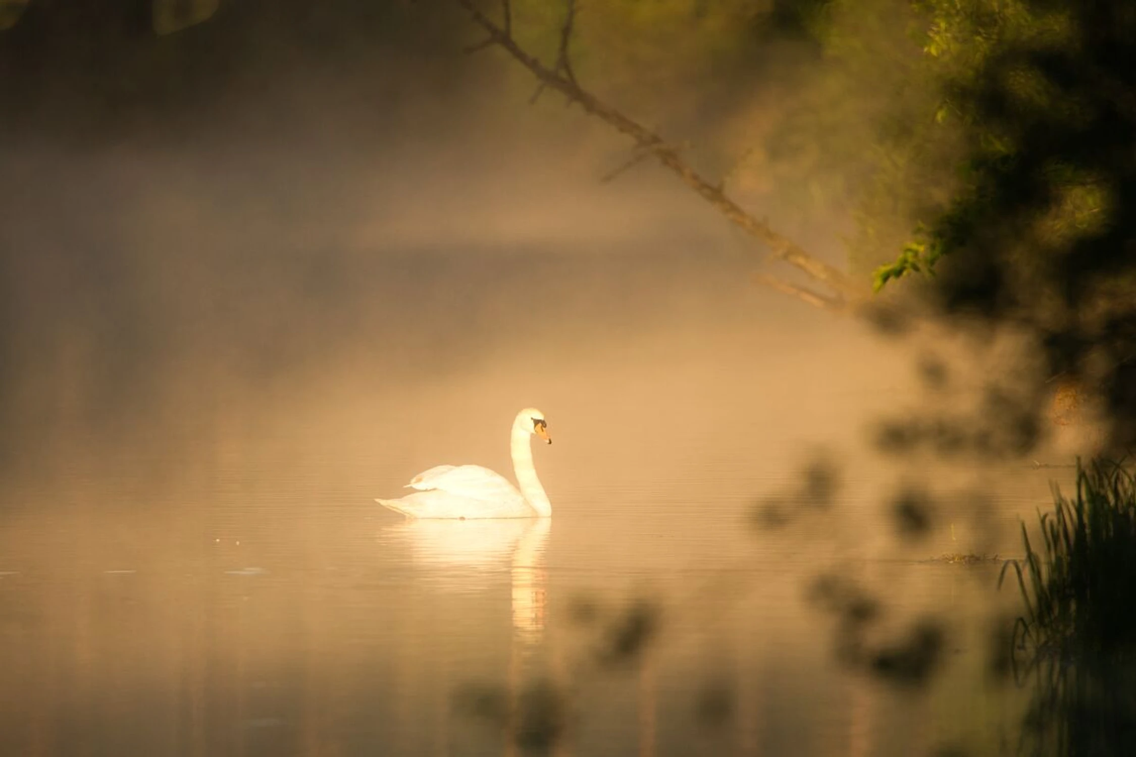O poranku nad Brdą