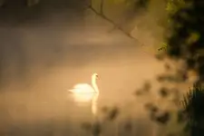 O poranku nad Brdą