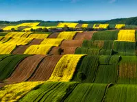 Roztoczański patchwork