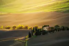 Dom na styku cienia i blasku