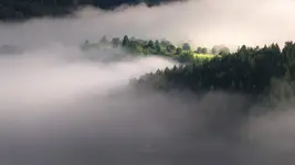 Mgły 