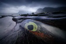Dragons Eye