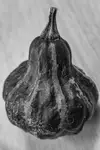 Forma I