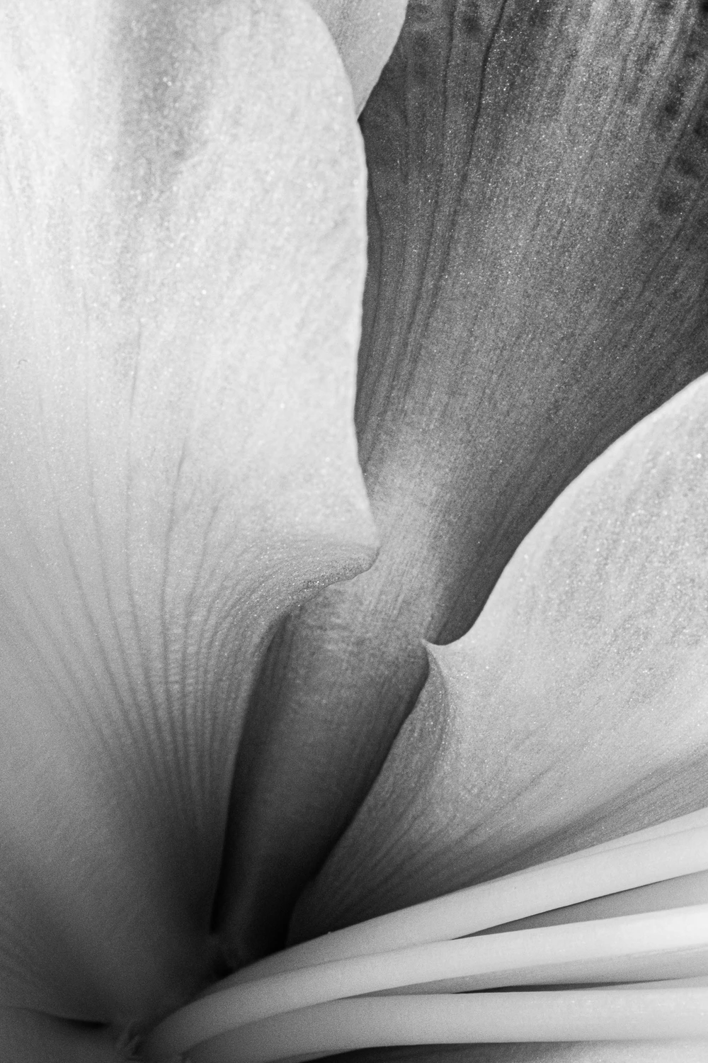 Wygibasy abstrakcyjne 2