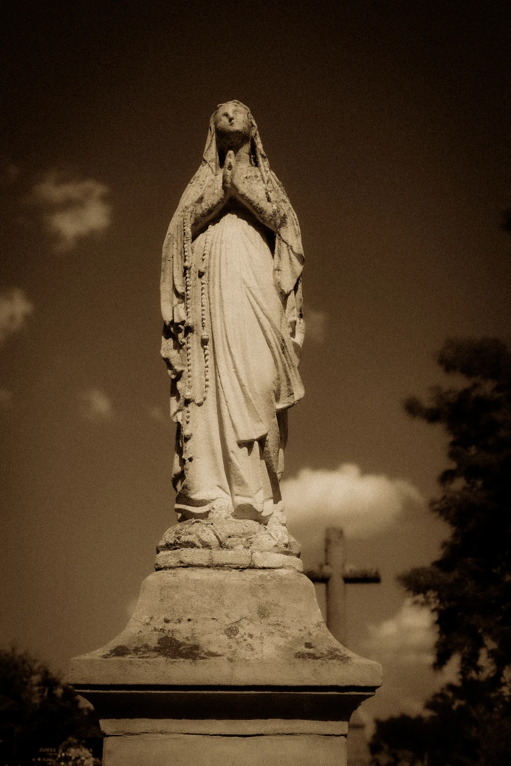 449 Pictorial Sepia