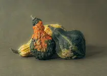1023c