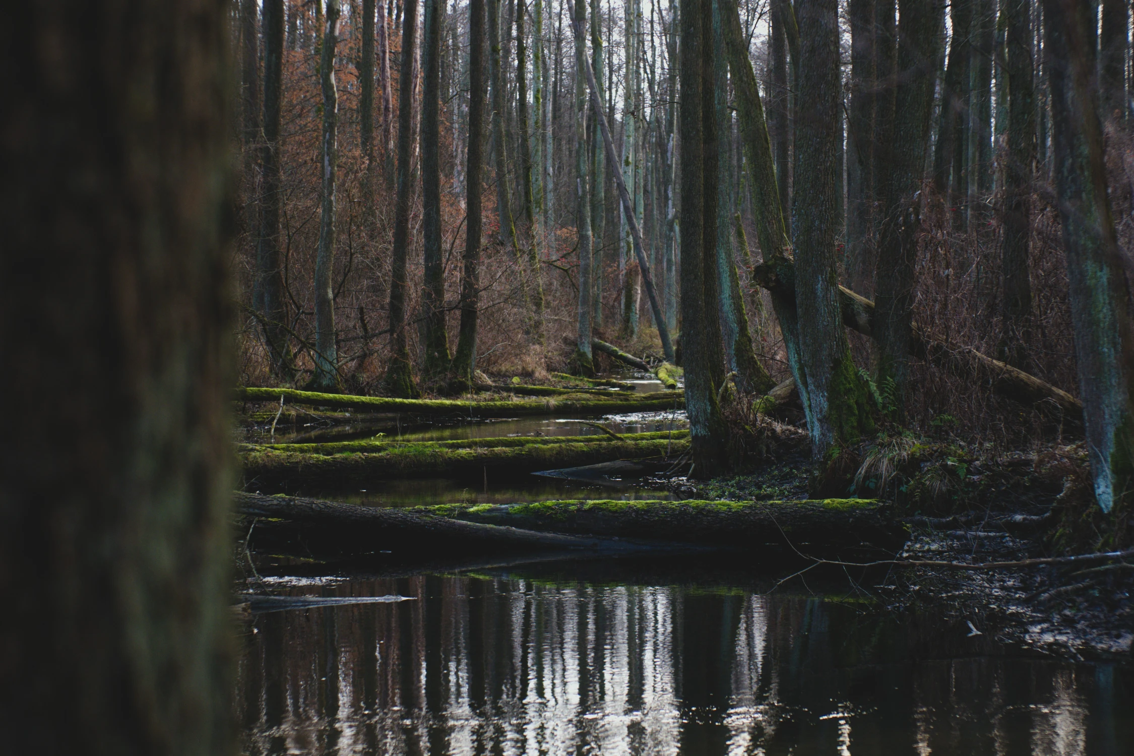 Spływ z przeszkodami