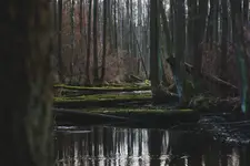 Spływ z przeszkodami