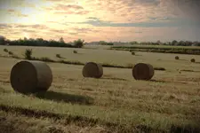 Rozsypane