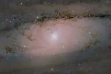 Galaktyka M31