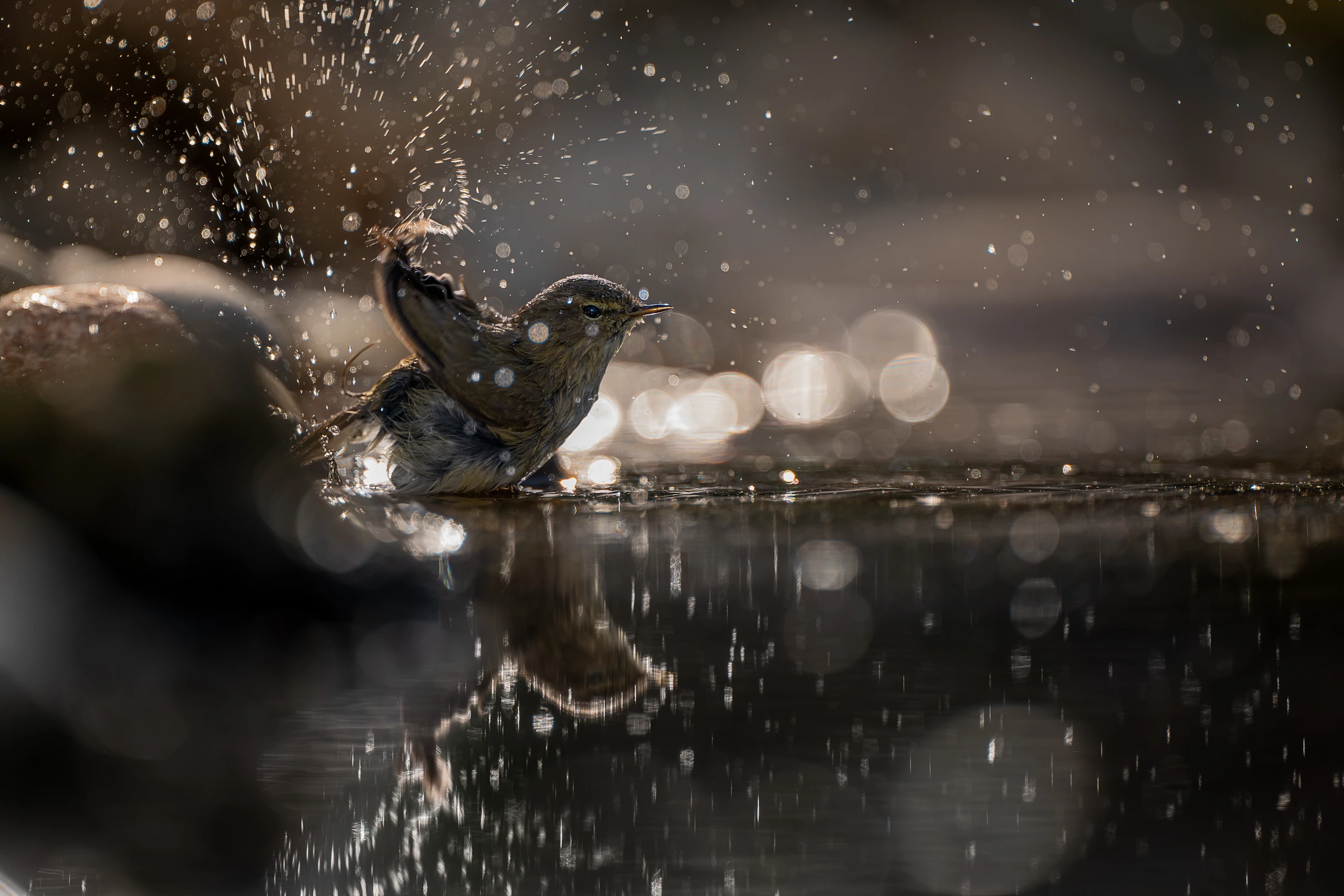 Skąpany w czarnym złocie