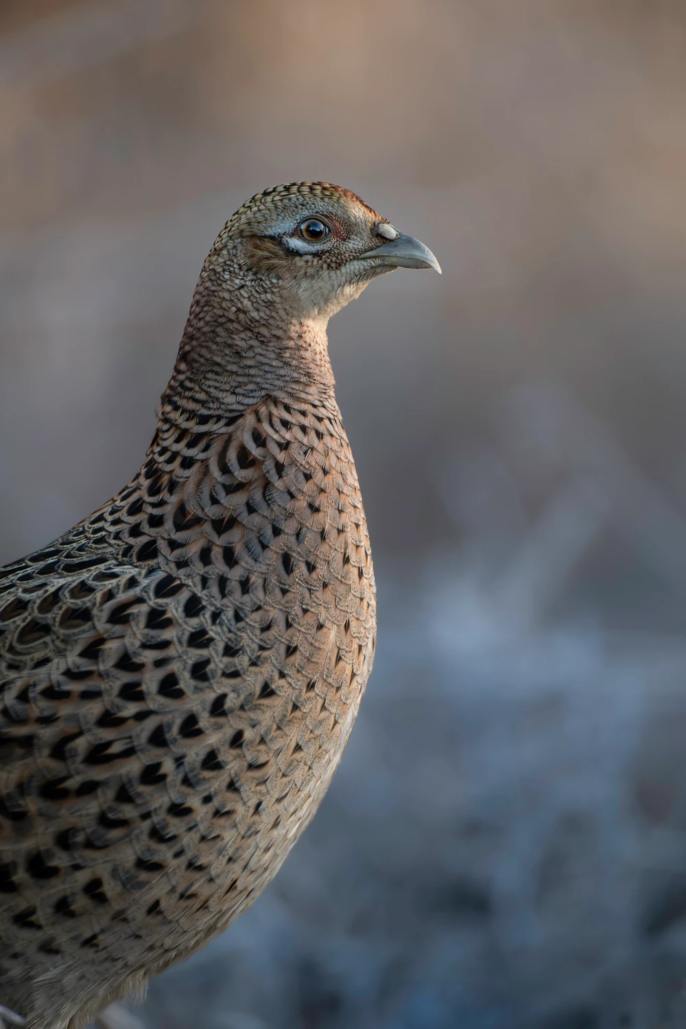 Minimalizm w terenie: Mniej znaczy więcej