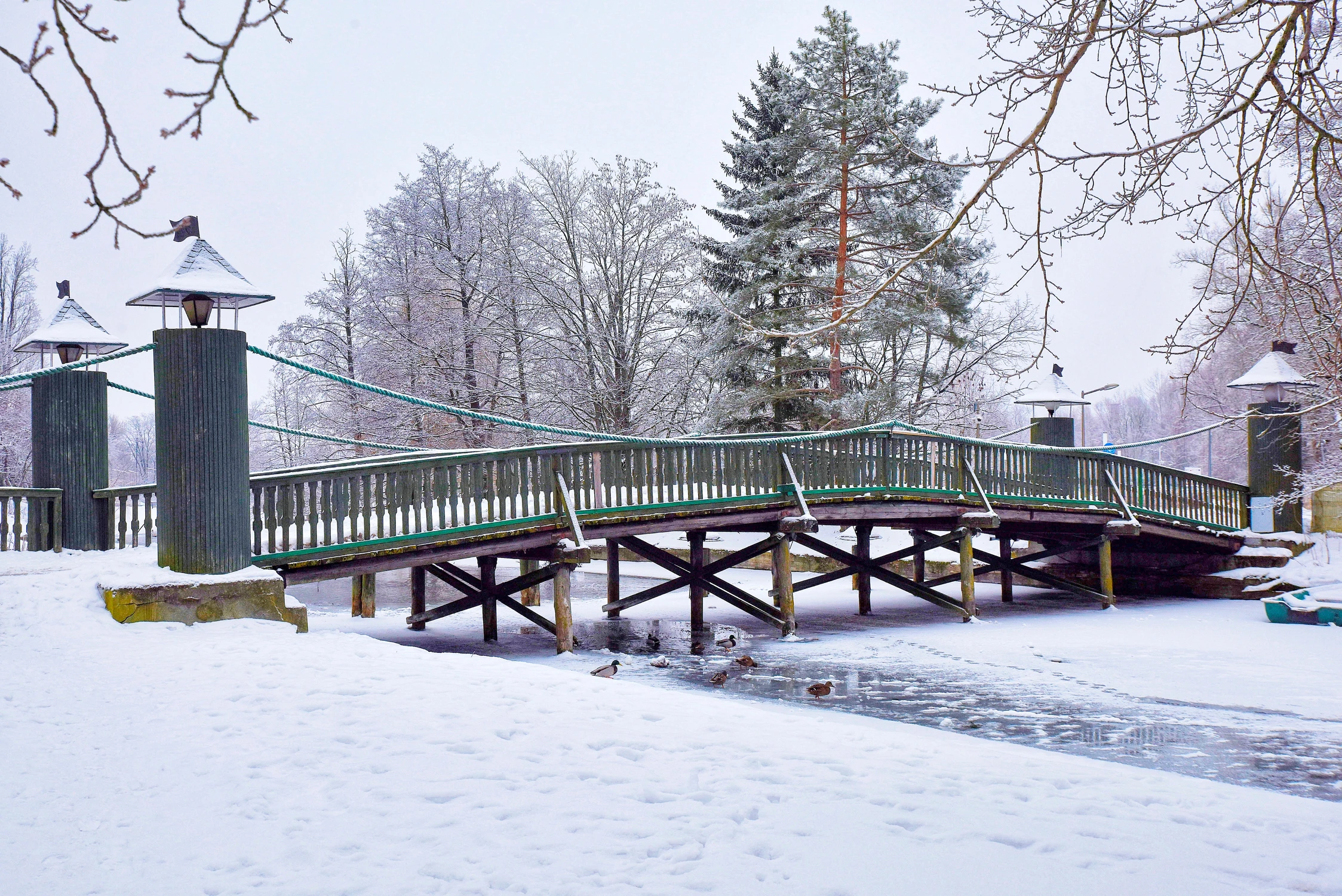 Zielony mosteczek...