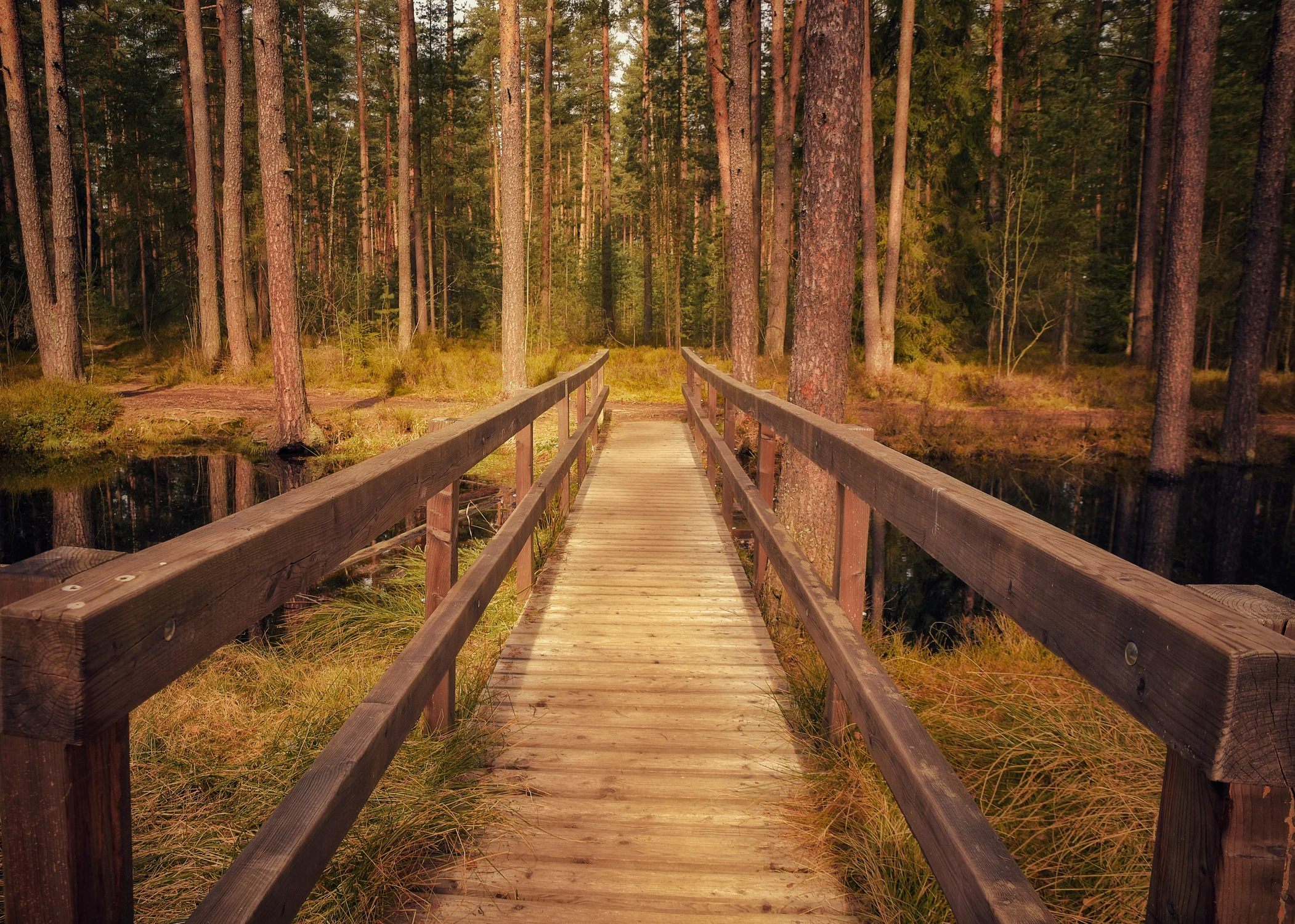 Bór nad Czerwonem, kładka 