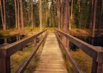 Bór nad Czerwonem, kładka 