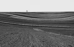 Roztoczańskie pasiaki