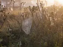 świat o świcie