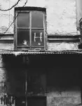 Miasto moje....