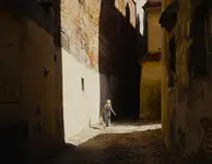 lato w mieście