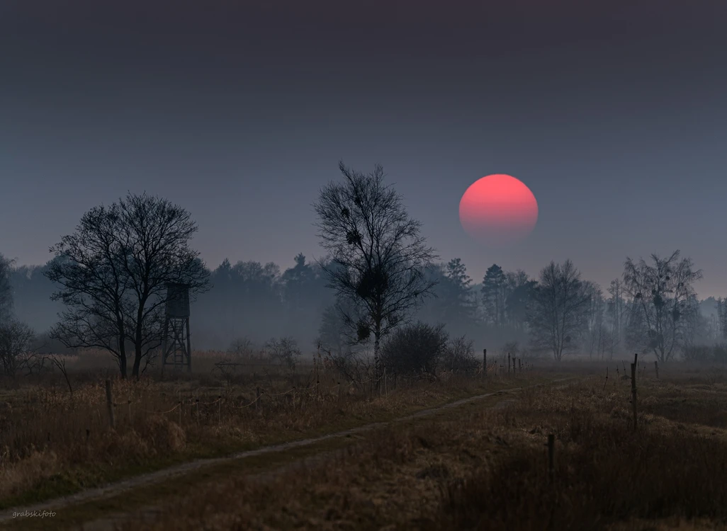 grabskifoto