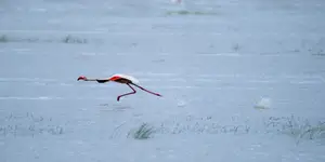 Afrykańskie opowieści - na rozbiegu