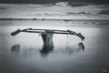 Afrykańskie Opowieści - Zanzibar , Odpływ