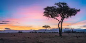 Afrykańskie równiny - poranek w Masai Mara
