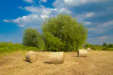 ,,,