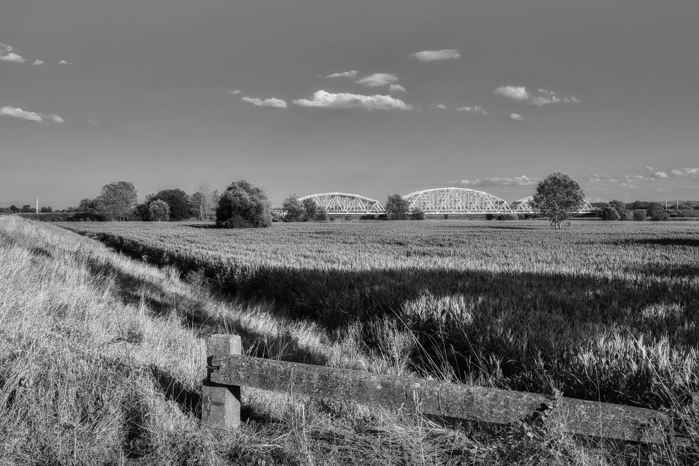 monochromatyczny krajobraz
