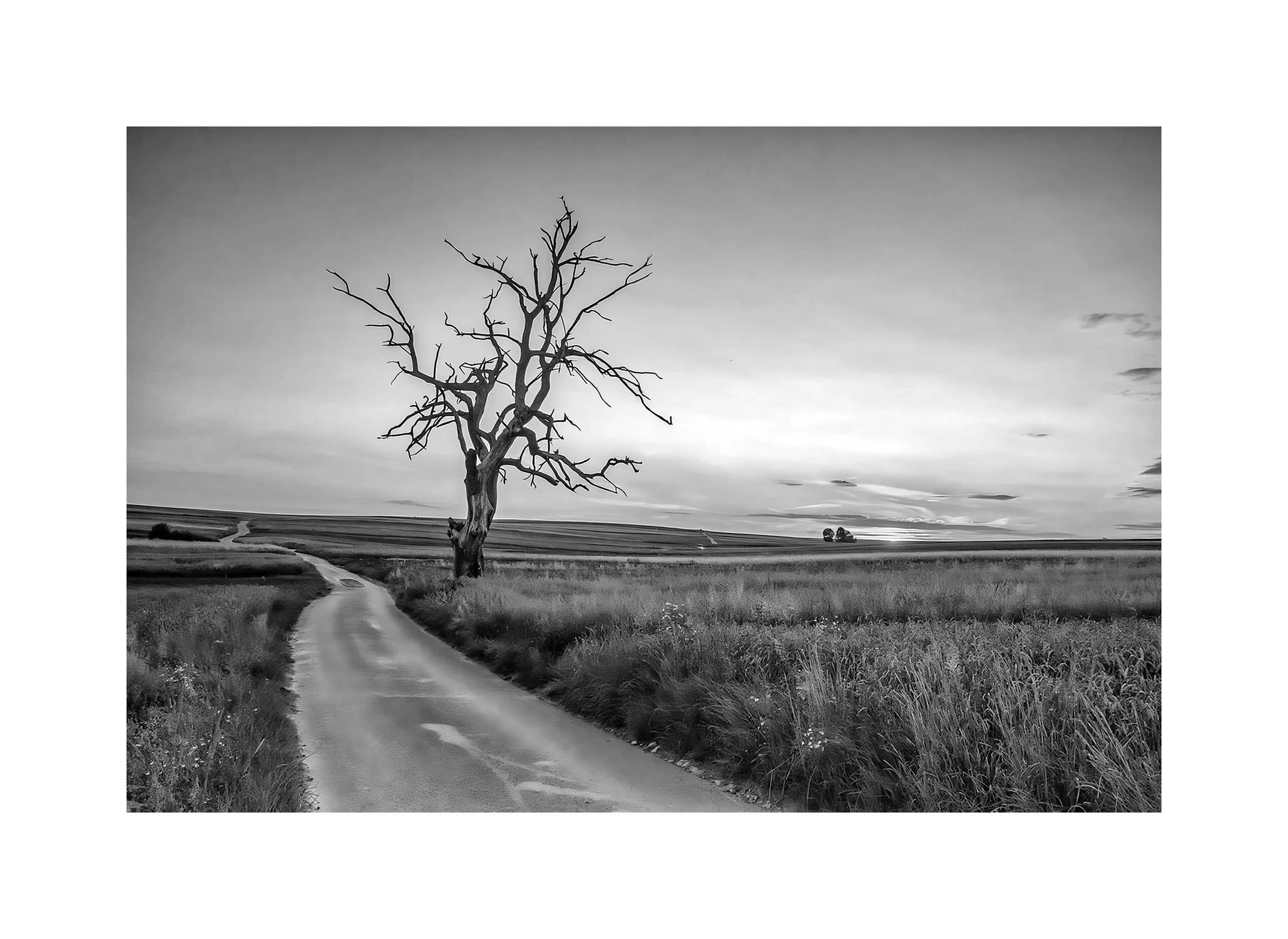 Historia Sułoszowej