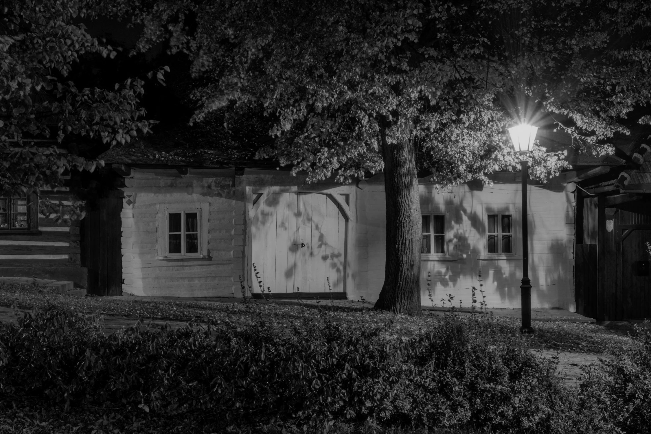 Z życzeniami: Szczęśliwego Nowego 2026 roku!!!!!!!🍾🍾🍾!!!!!!!