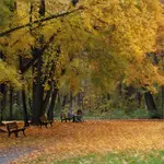 Nowe rozdanie 