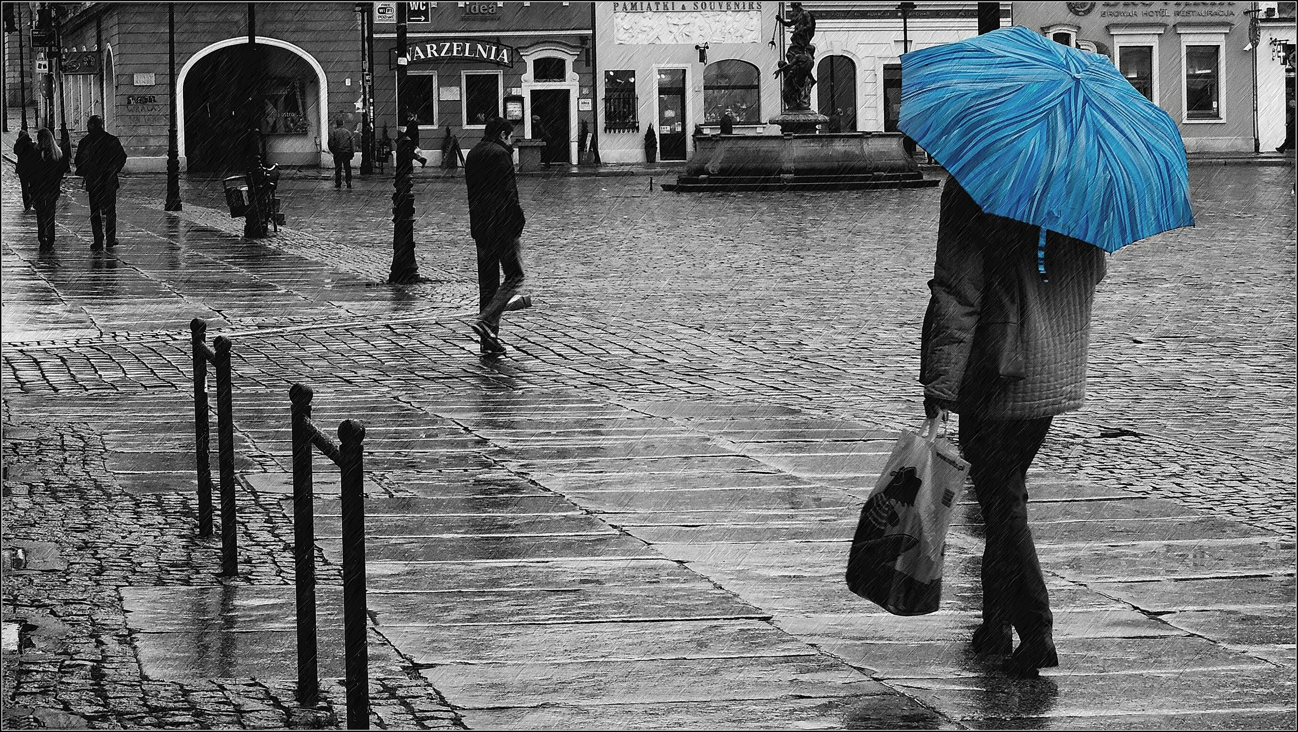 Zakwitł w kolorze blue....