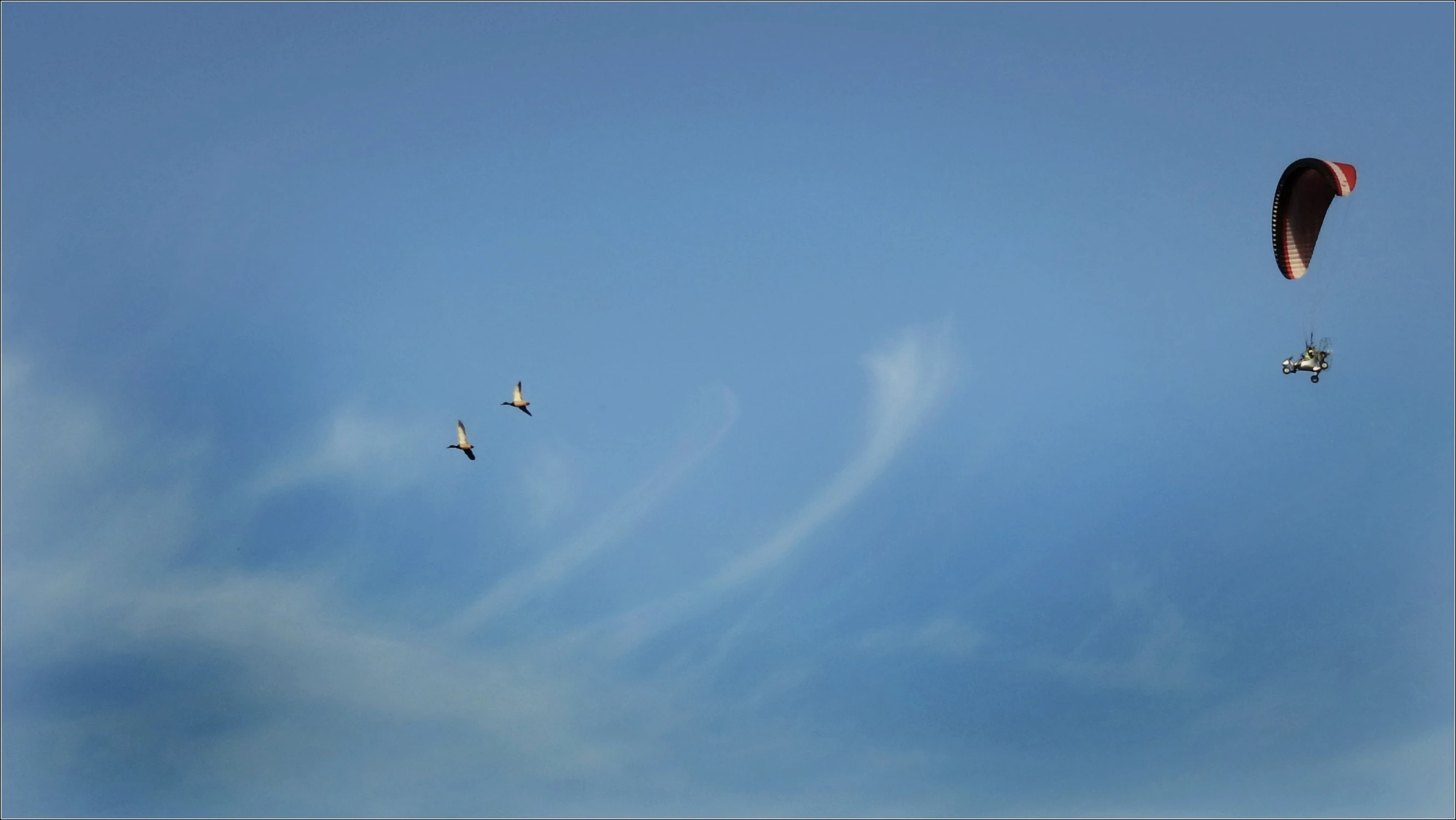 Ten z tyłu, to od nas?