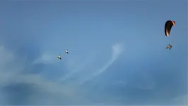 Ten z tyłu, to od nas?