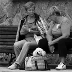 ... o psie który lubił mieszkać w torbie,