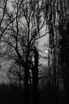 nocny splin
