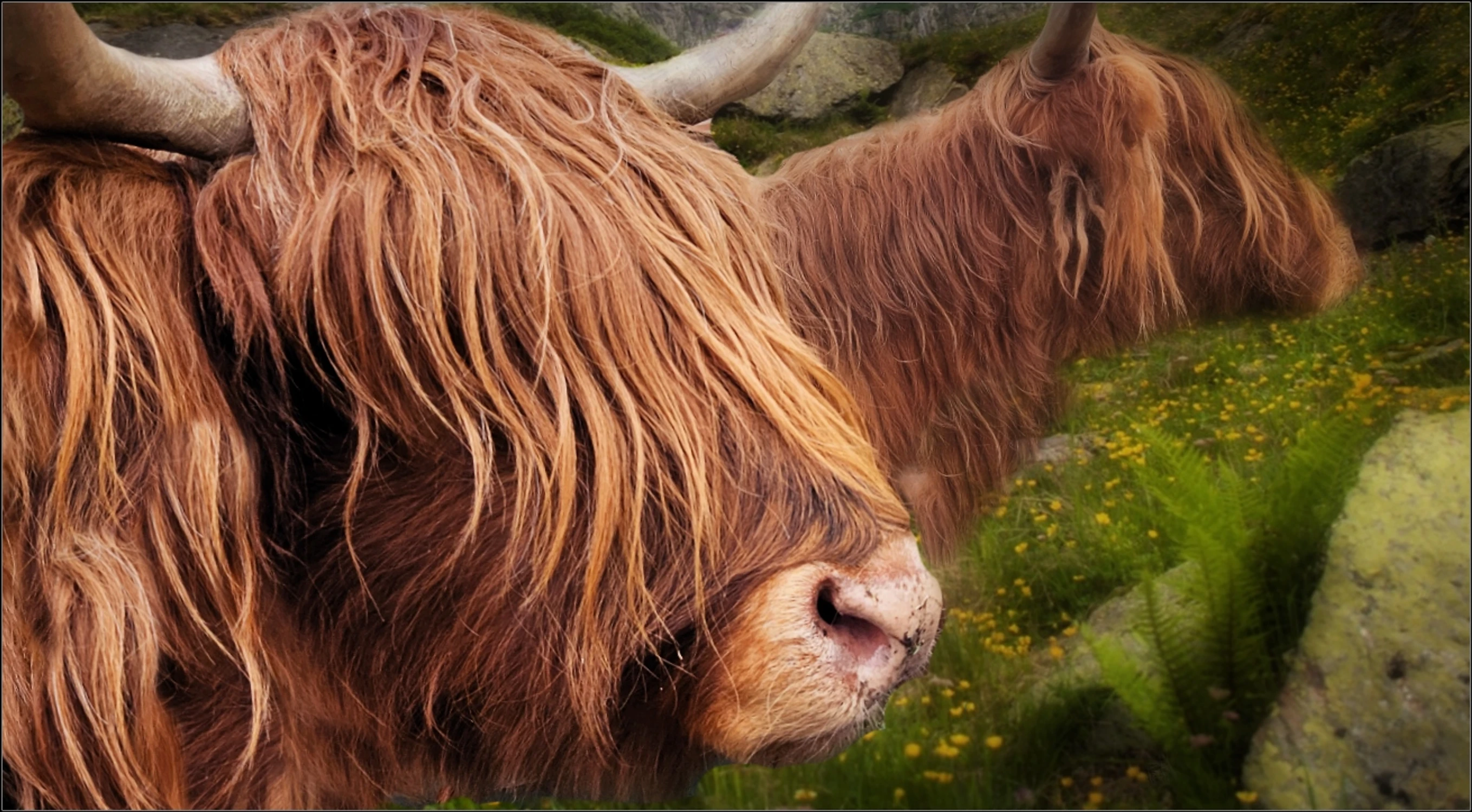 ... jesteś pewna czy dobrze idziemy?