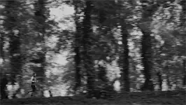 Run away,