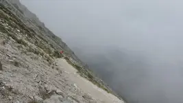 Kto rano wstaje ....