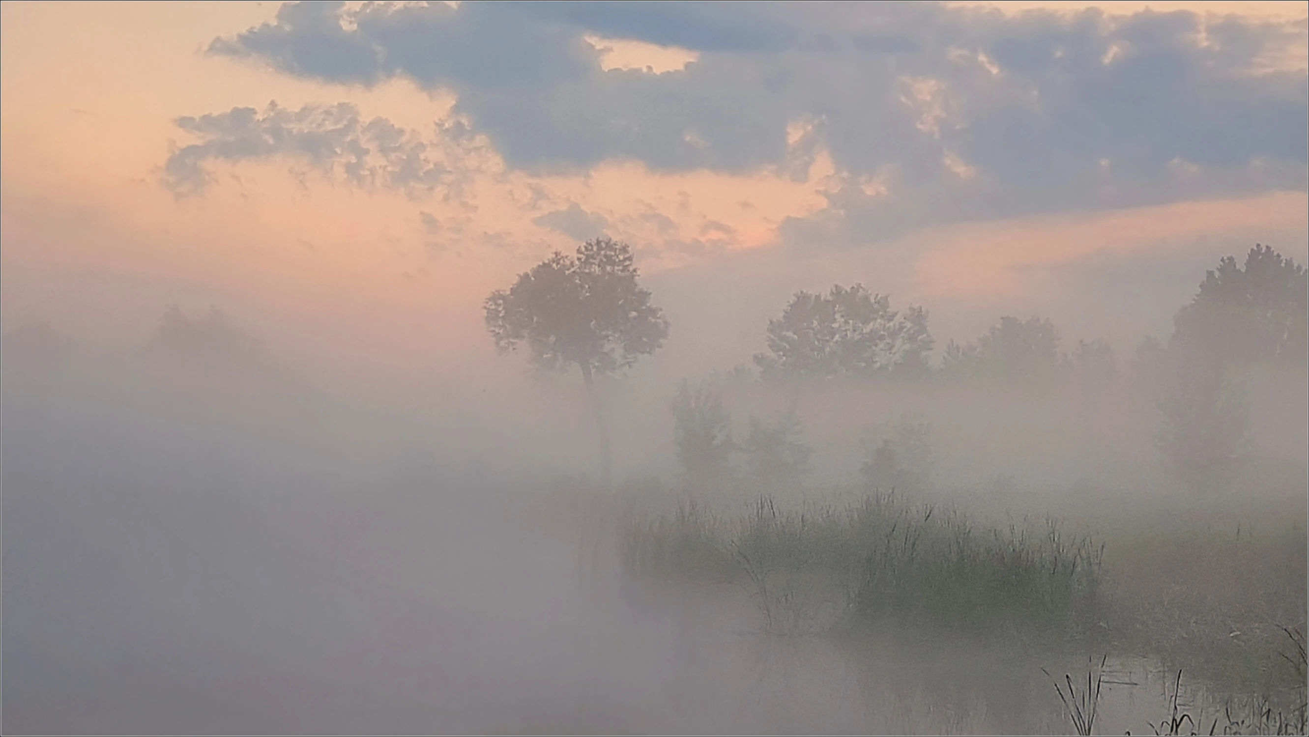 nad Wartą warto