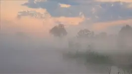 nad Wartą warto