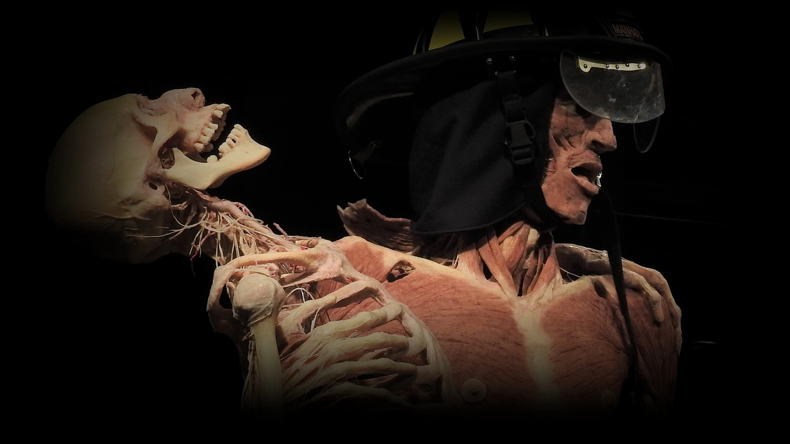 fireman