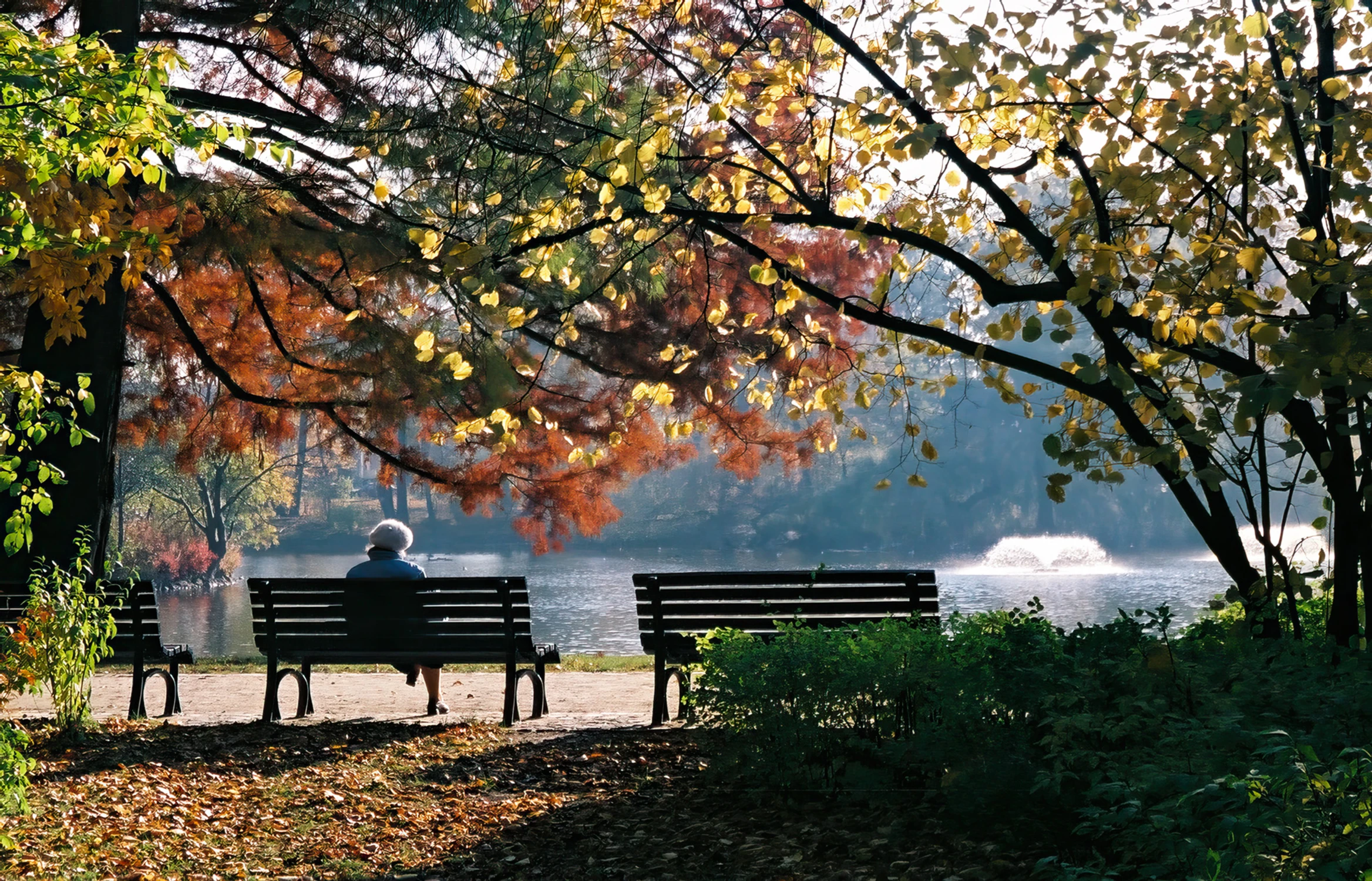 Ogrody rudej jesieni