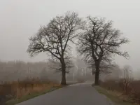 Gdzieś na drodze