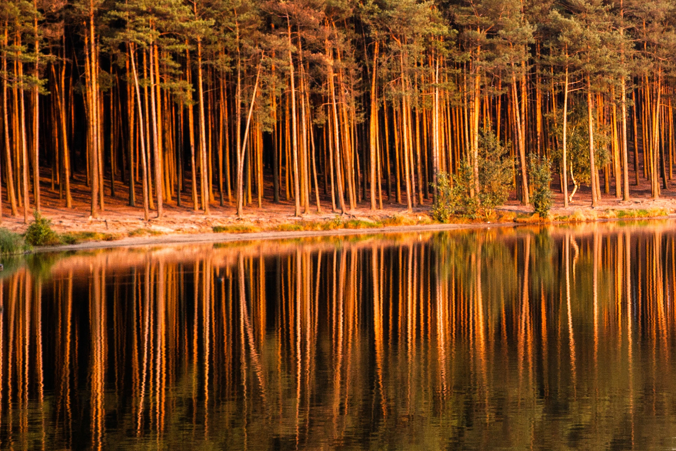 Nad wodą