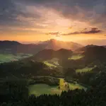 Zaskakująca polana