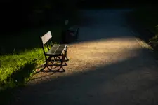A Bench