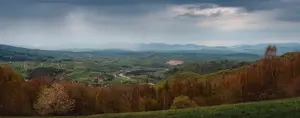 Spring Rain